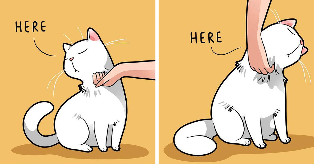 Artist Illustrates Funny Realities Of Living With A Cat