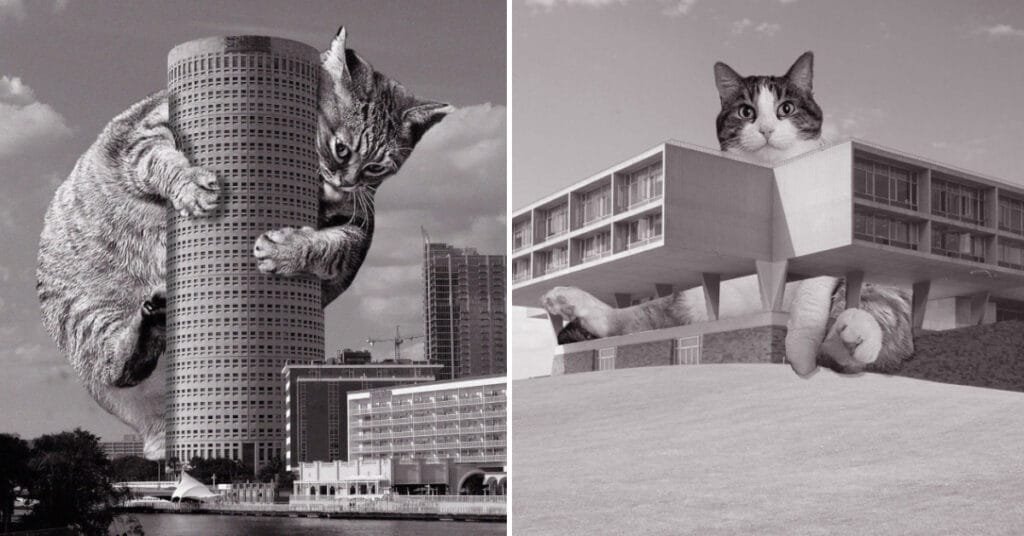 For Anyone Who Enjoys Cats And Architecture, Here Are The 10 Best New Photos From Cats Of Brutalism