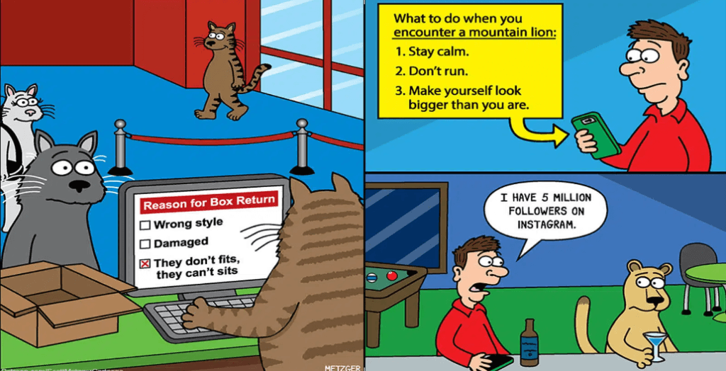 20 Comics to Make Every Day Fun