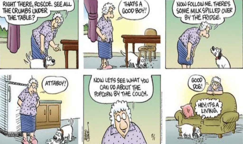 20 Completely New Pickles Comics with Funny and Surprising Turns