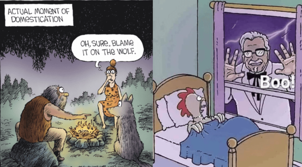 20 Comic Books That Take You On A Funny and Funny Trip Through Life’s Mistakes