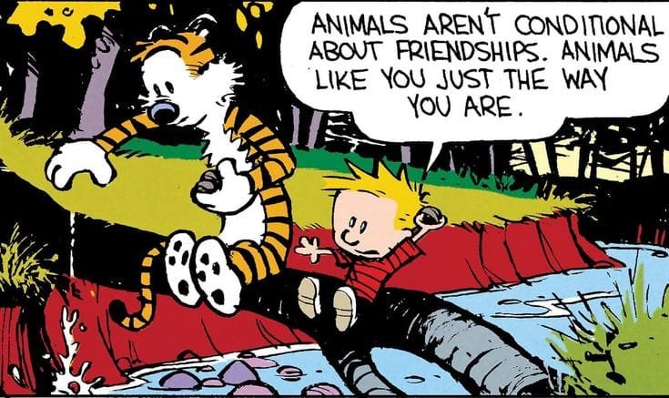 20 Funny Comics About Calvin and Hobbes That Will Make You Laugh