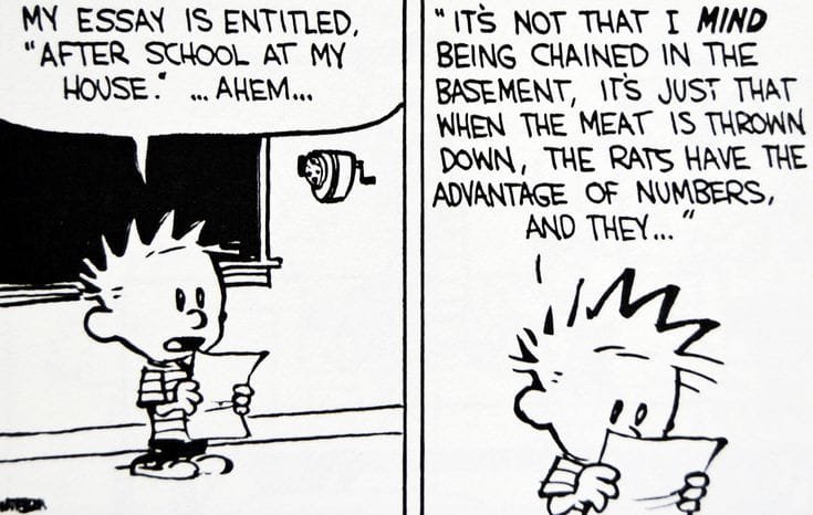 These 20 Hilarious Calvin and Hobbies Comics About Daily Life Are Filled With Funny Jokes