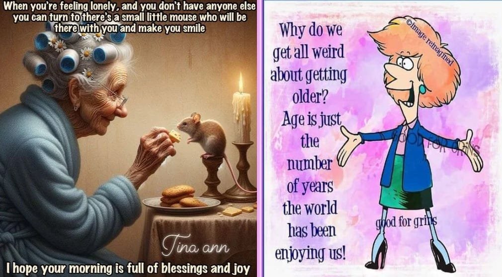 These 18 Laugh out Loud Old Age Cartoons to make your Life Happy