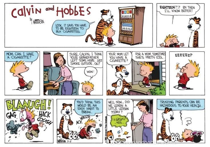 19 Calvin and Hobbes Comics That Are Totally Odd Yet Funny