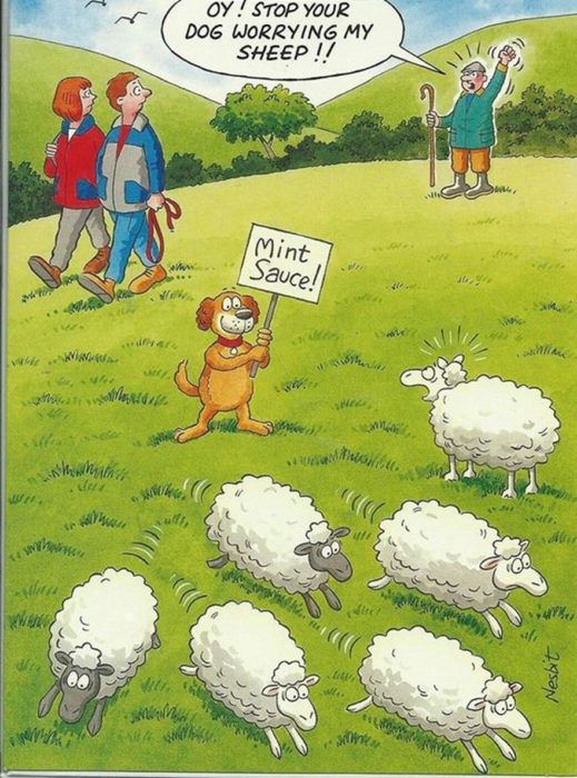 15+ Humorous Cartoons That Will Make You Laugh Out Loud